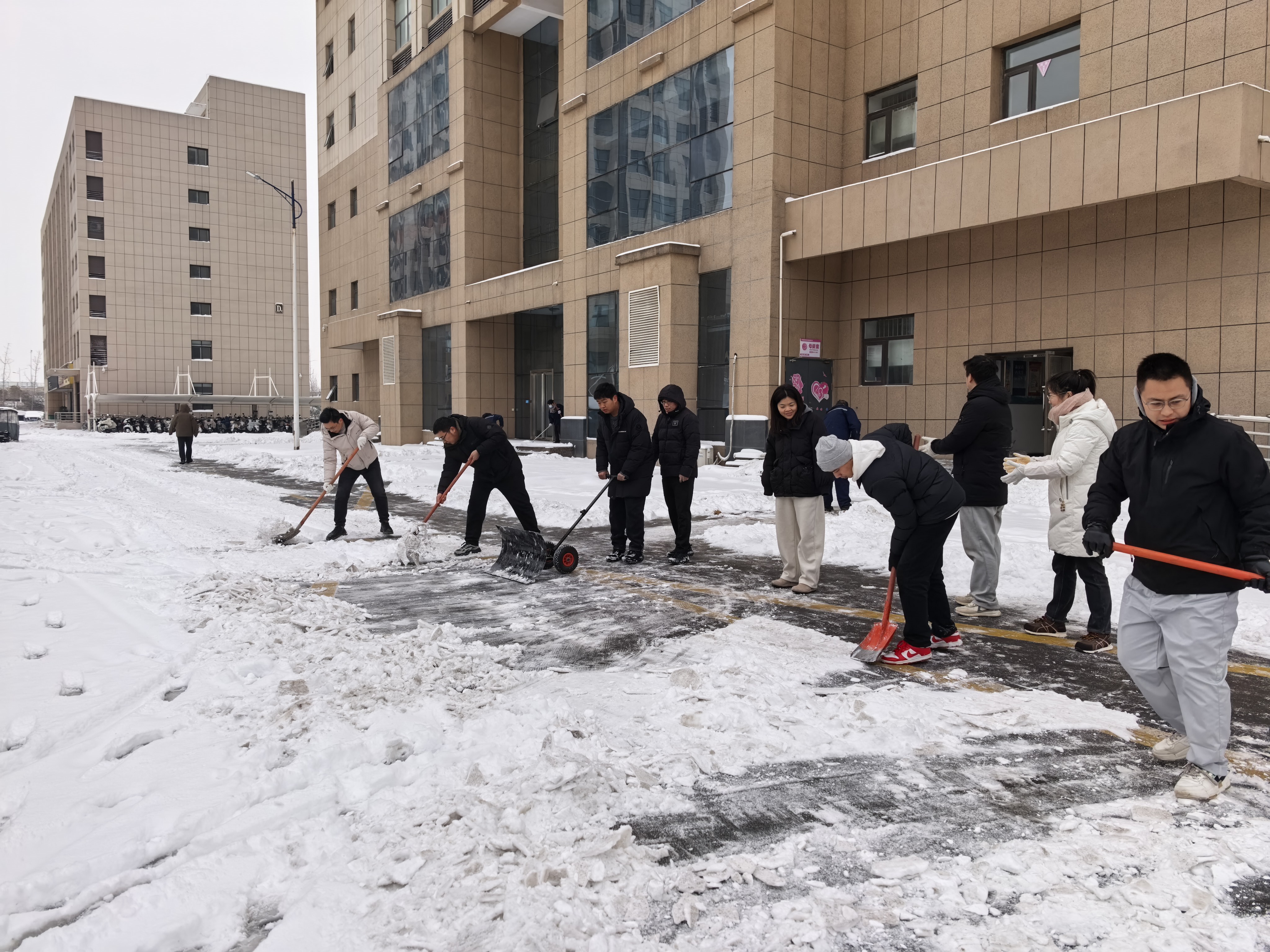 以雪为令显担当 同心聚力赴新程—中浩科技全体干部职工铲雪除冰侧记