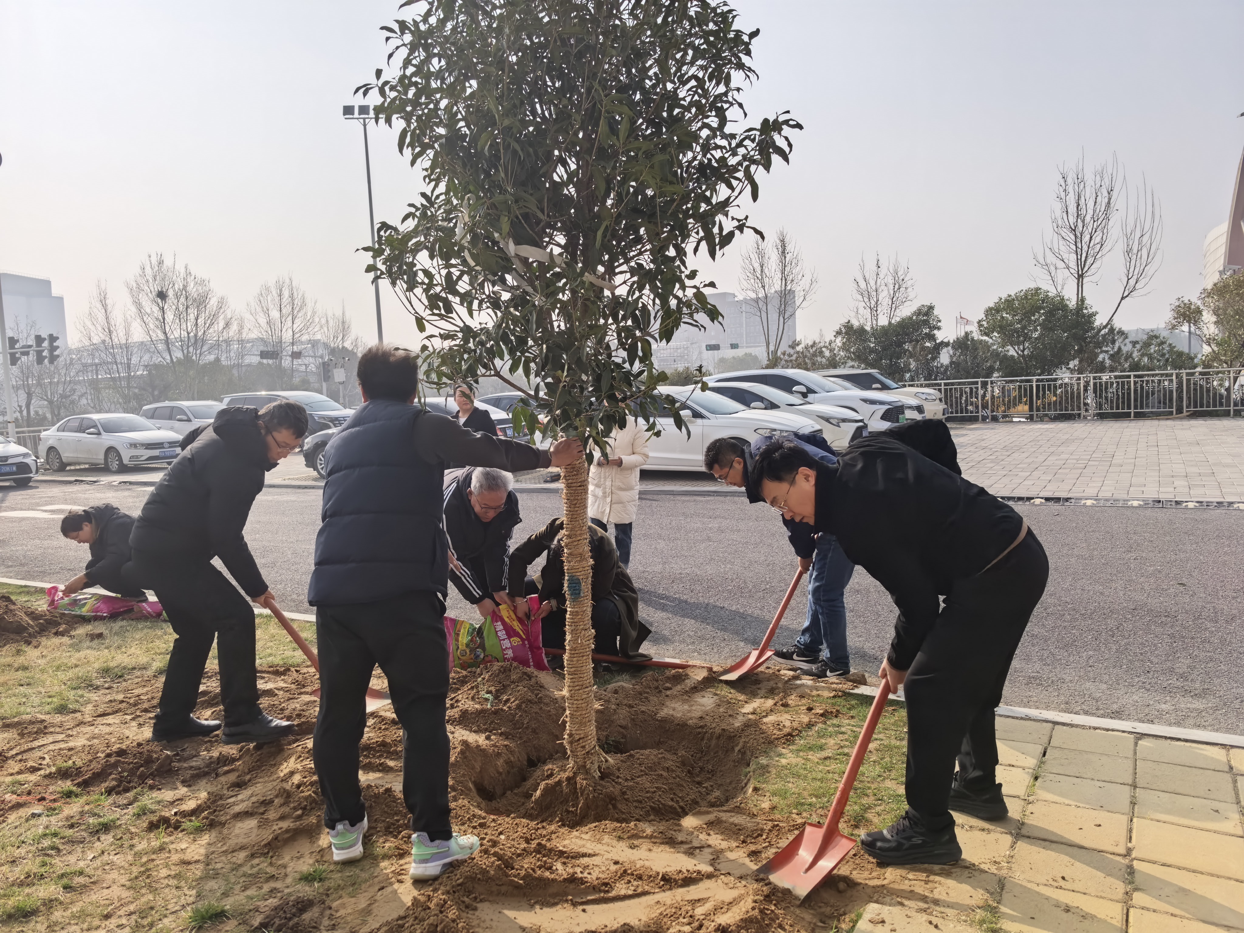 1773800230591.jpg 1773800230591.jpg